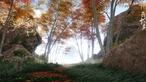 澳波赛季初遇困境，密集赛程球员压力大